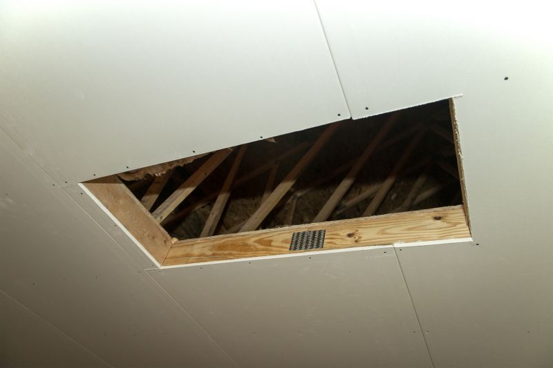 Attic Extension